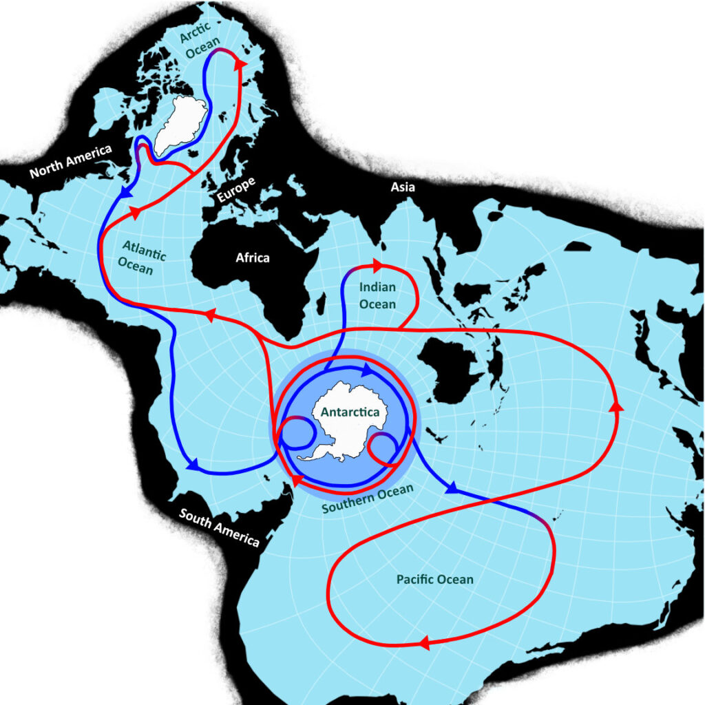 Key role of the Southern Ocean in global ocean circulation