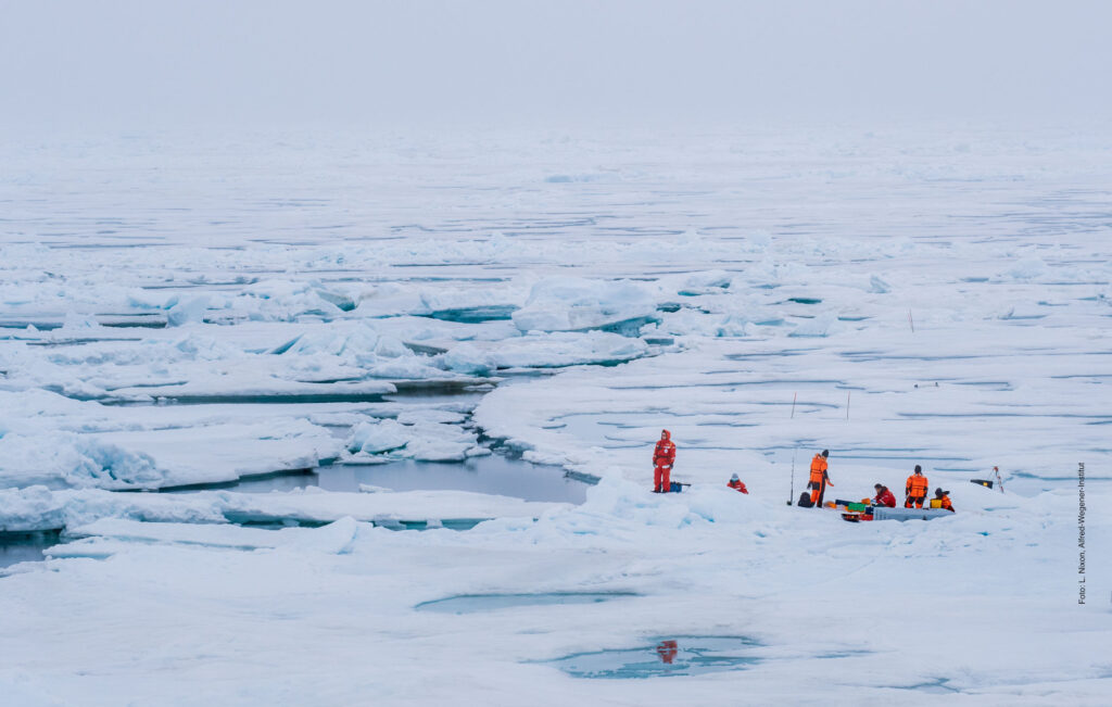 researchers sampling the arctic sea ice